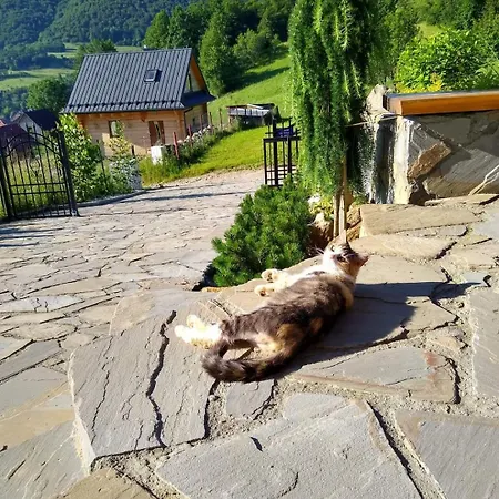 Apartamenty Na Brzegu Szczawnica Exterior photo