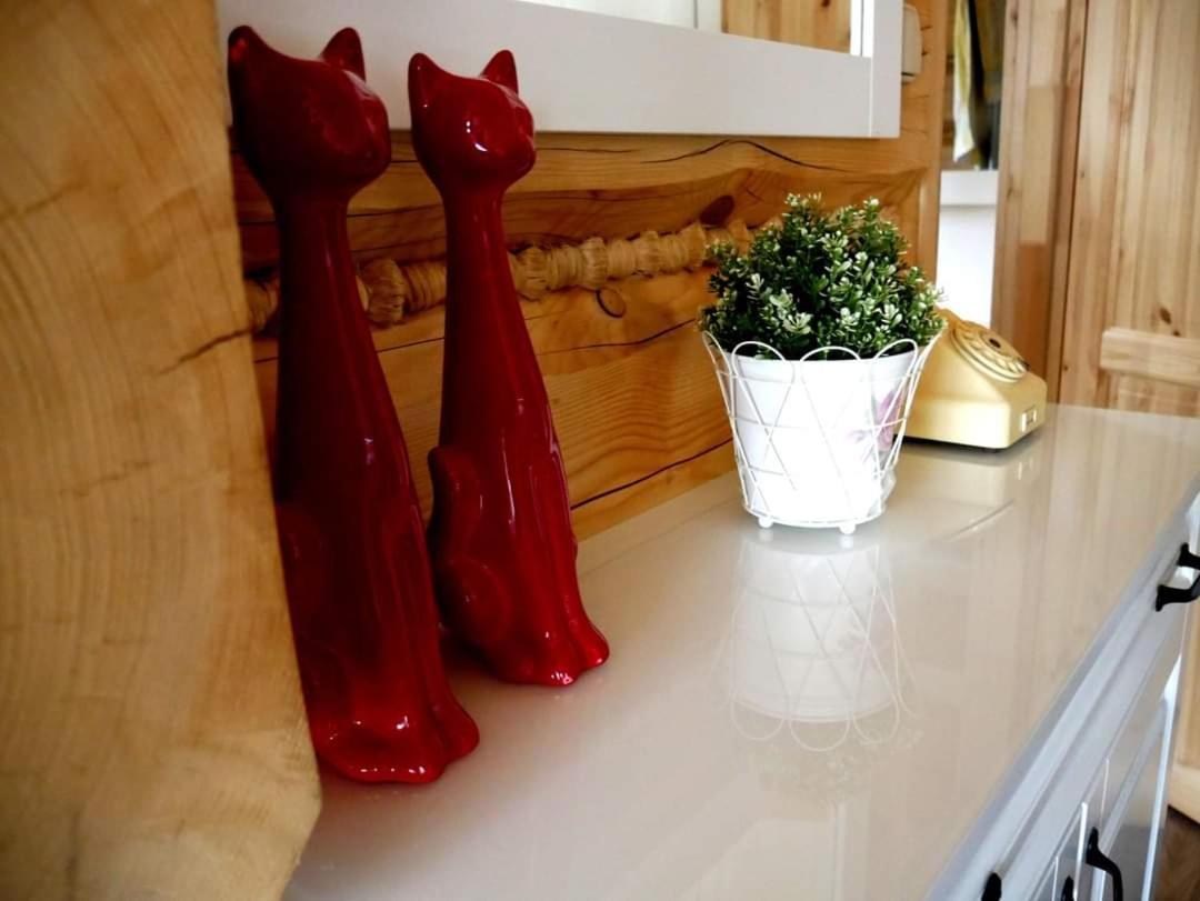 Apartment Na Brzegu Szczawnica