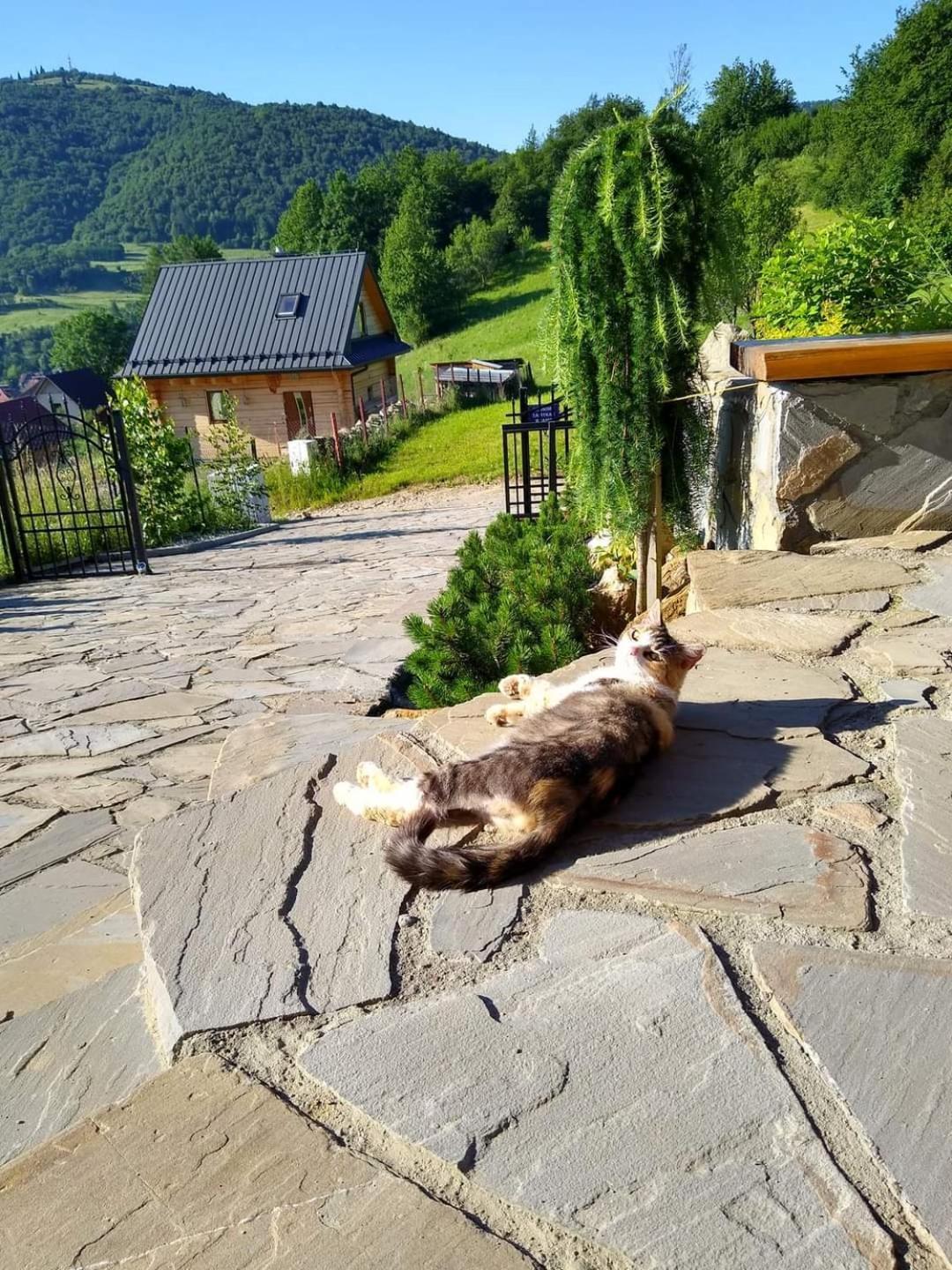 Na Brzegu